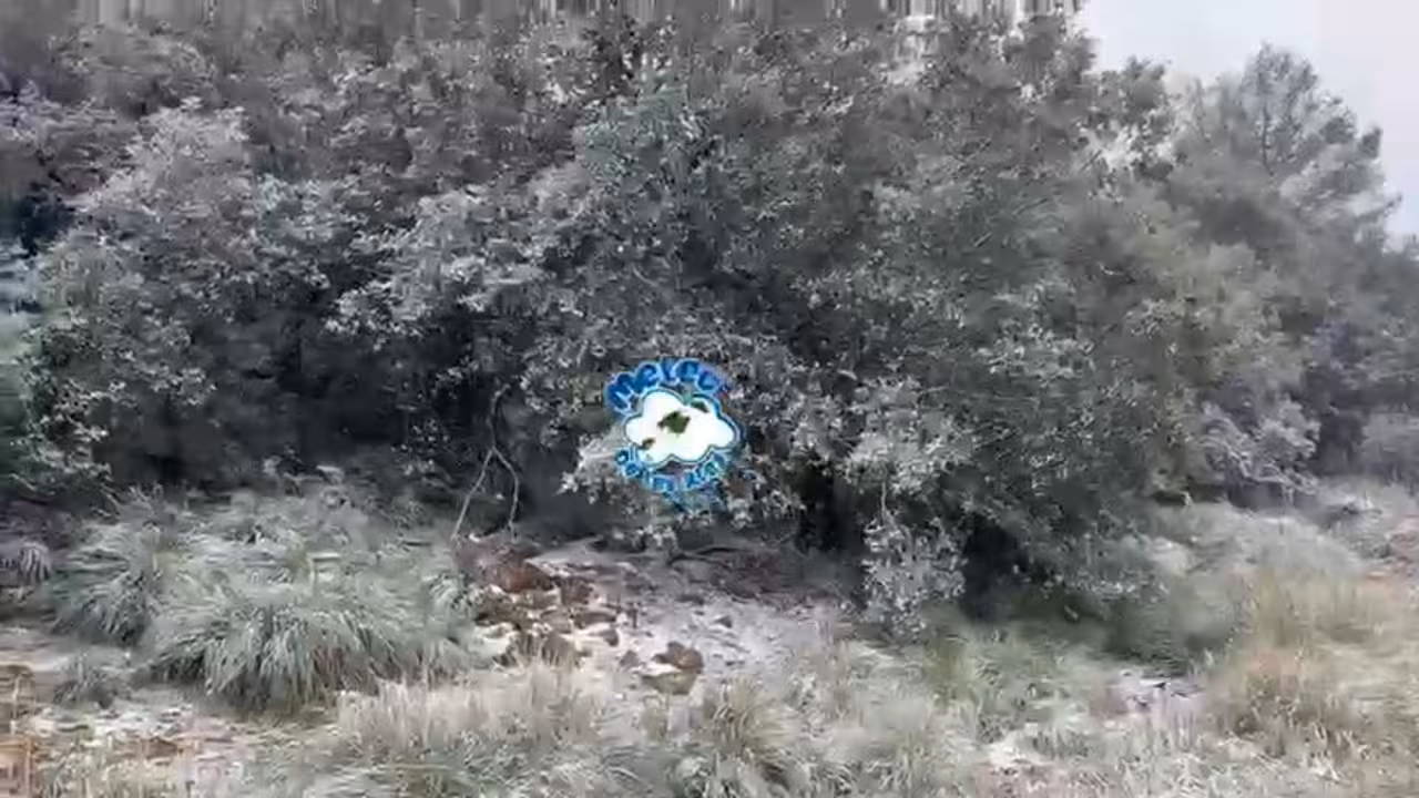 vlcsnap-2026-01-05-17h39m08s807