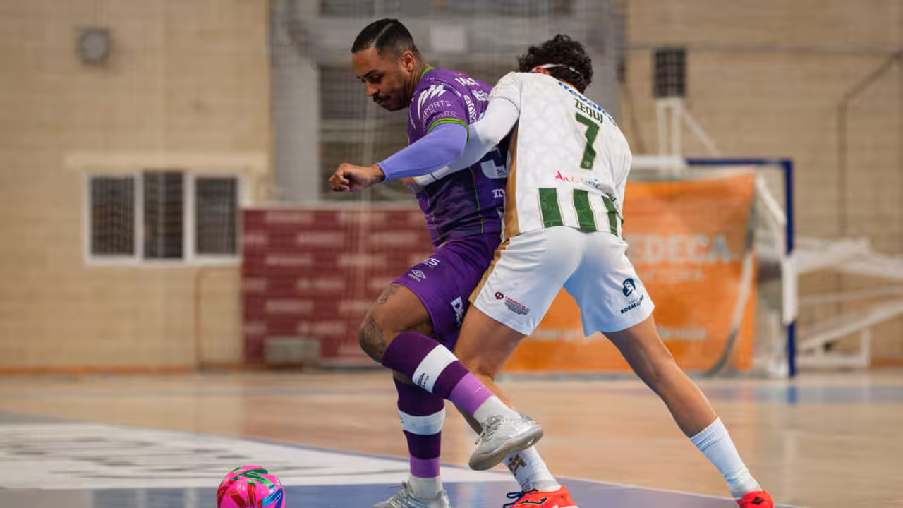 Illes Balears Palma Futsal