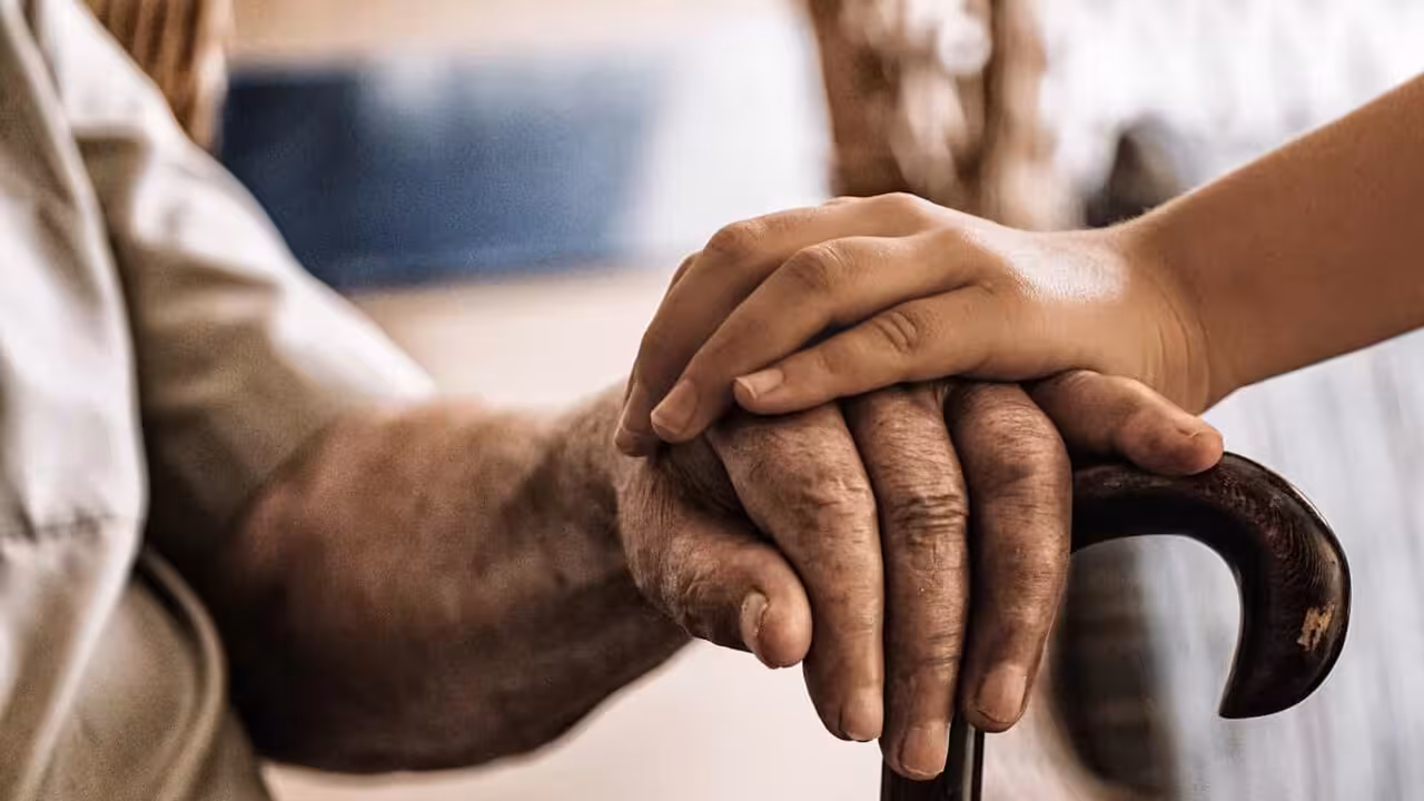 T_Residencia Muro_raf