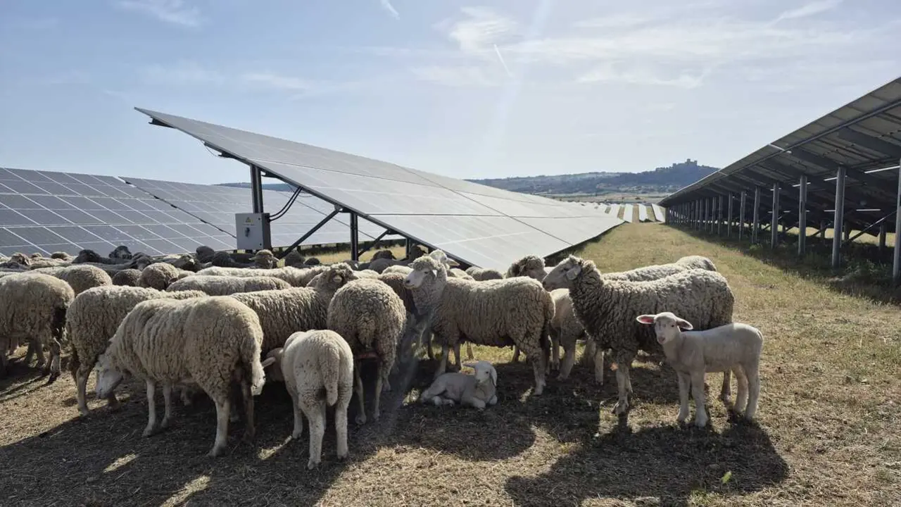 Planta fotovoltaica Iberdrola