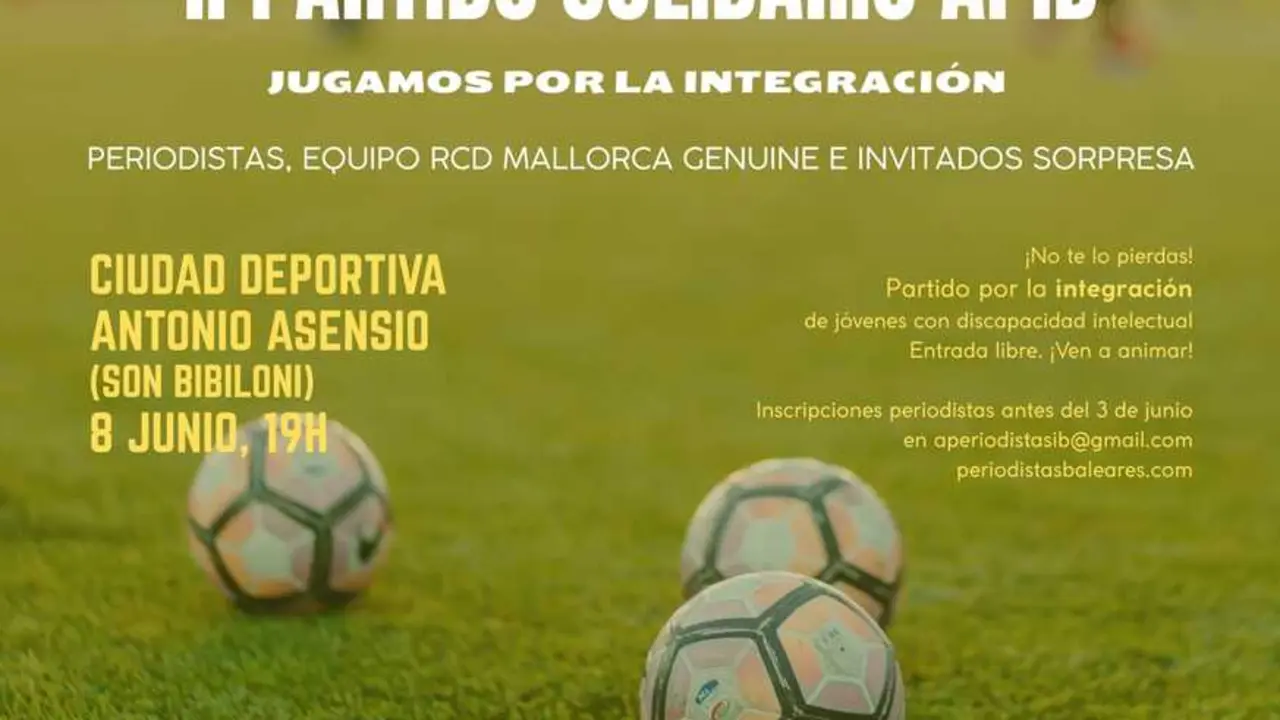 Cartel II Partido Solidario