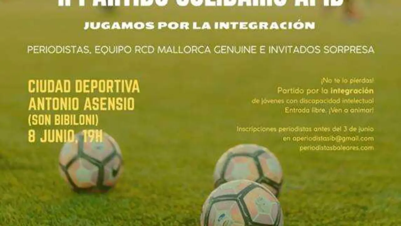 Partido Solidario APIB