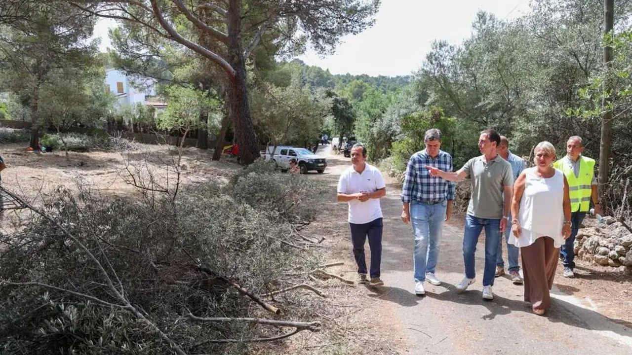 Pla de sanejament forestal de la Serra de Tramuntana