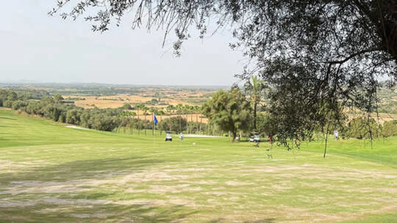 FOTO CAMPO NOTA DE PRENSA ROTANA 18-07