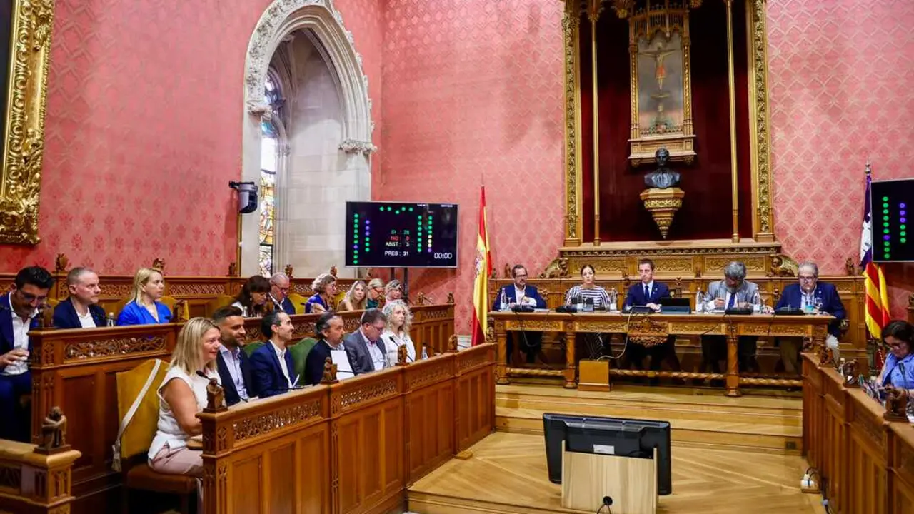 Pleno del Consell de Mallorca.