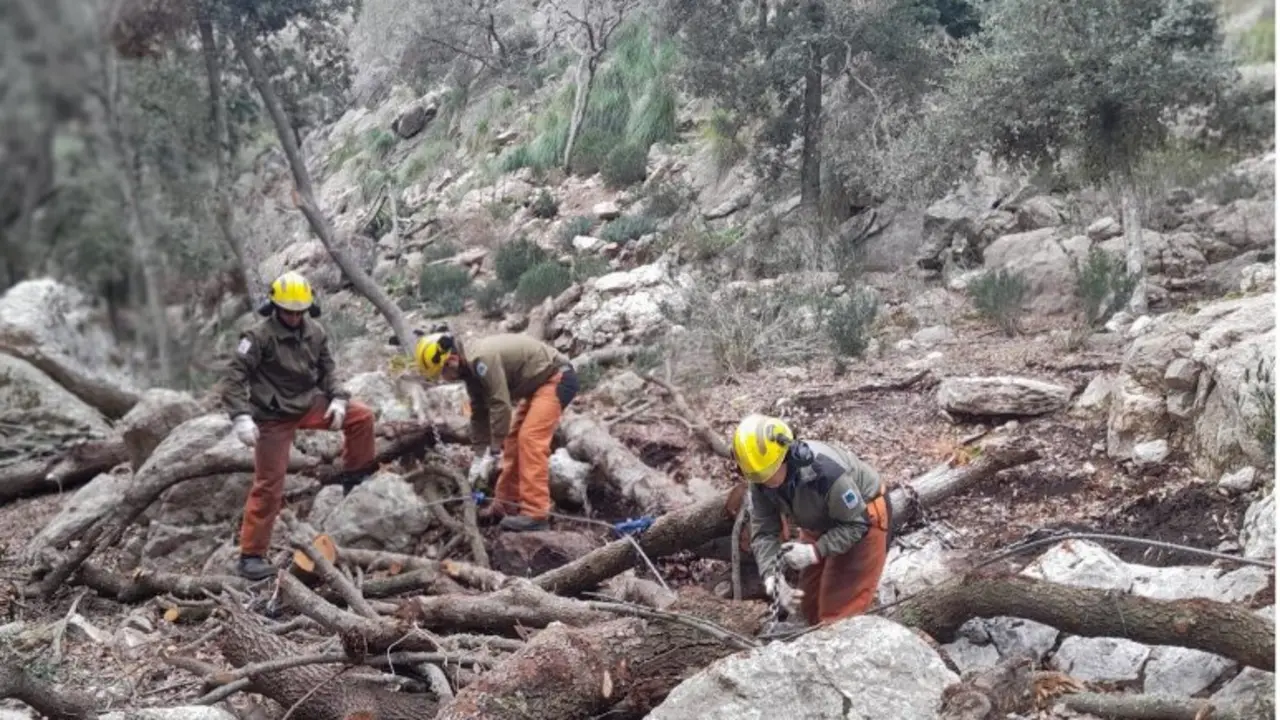 Actuaciones de prevenci&oacute;n de incendios ejecutadas por el IBANAT en puntos estrat&eacute;gicos de prevenci&oacute;n.