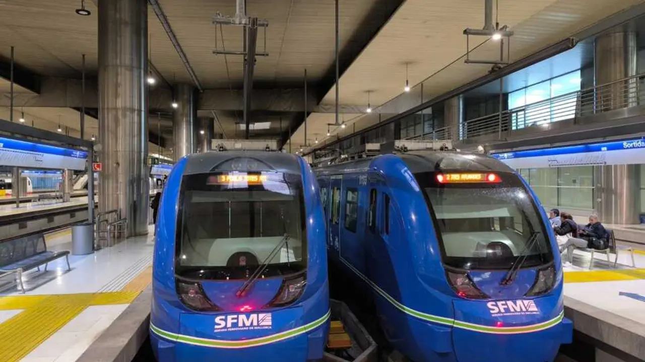 Trenes del SFM.
