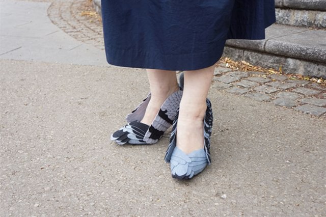 zapatos paloma