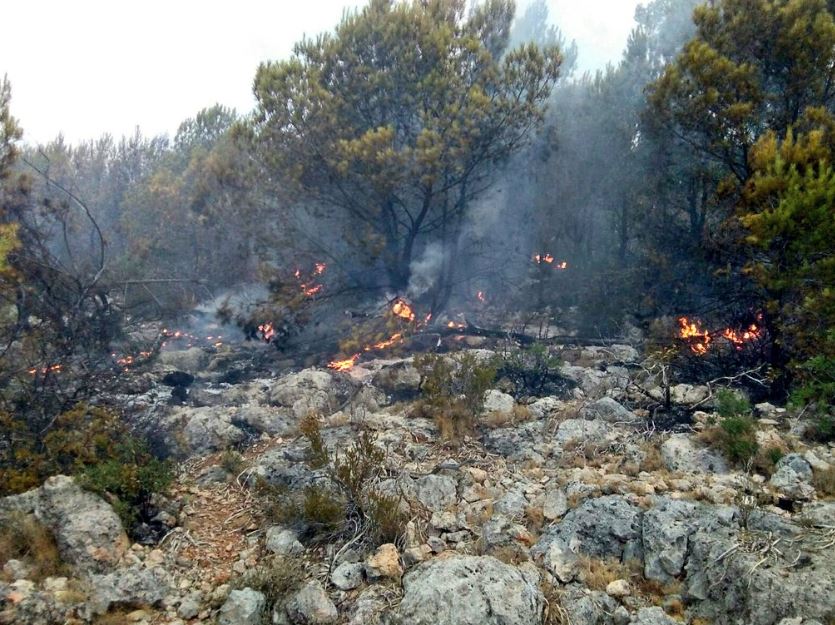 incendio forestal s'hotalet palma
