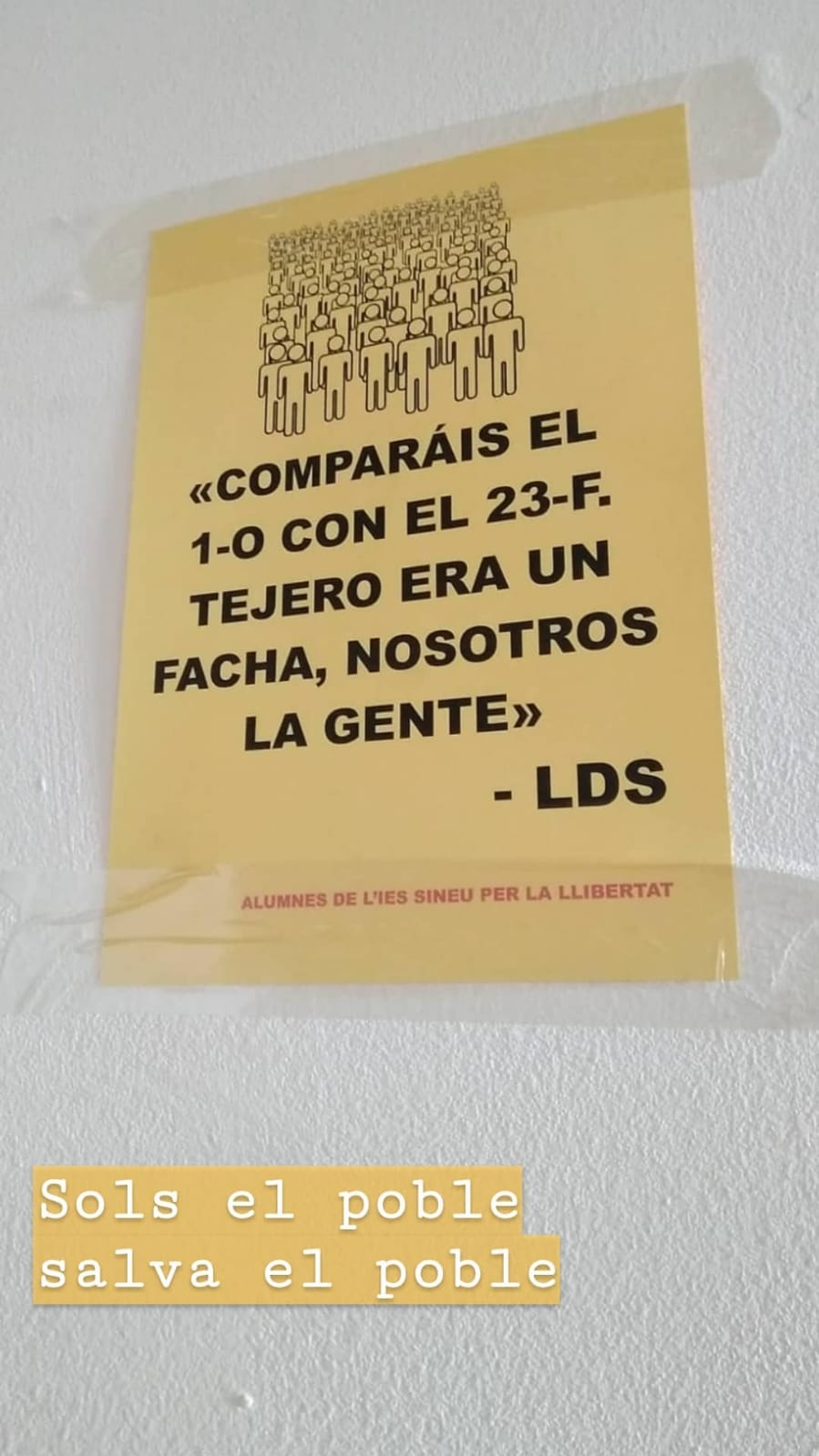 ies sineu