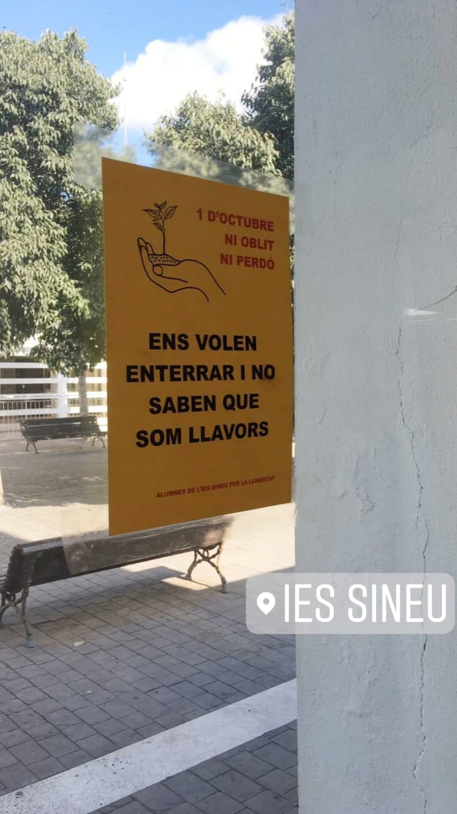 ies sineu
