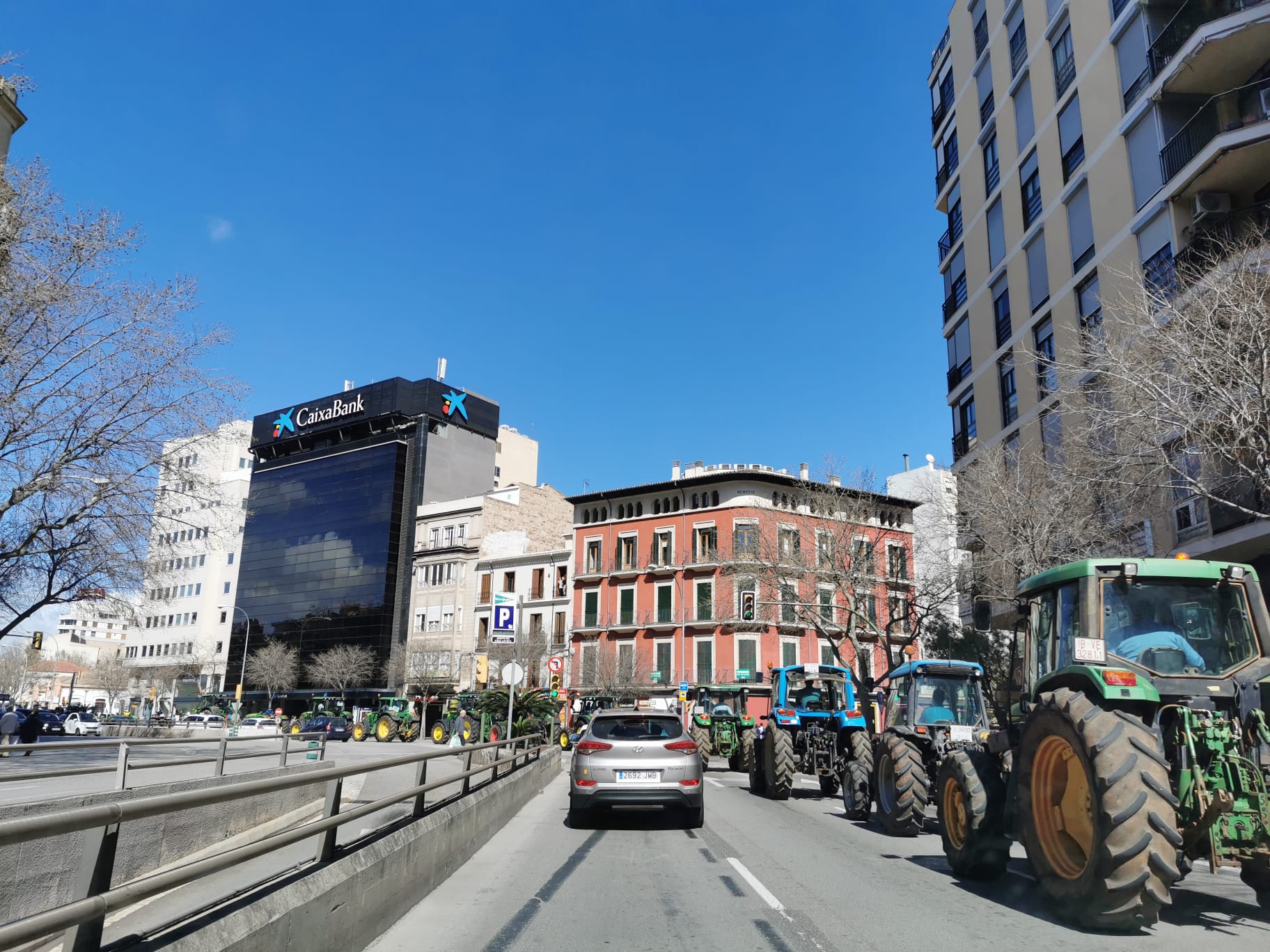 Tractorada palma