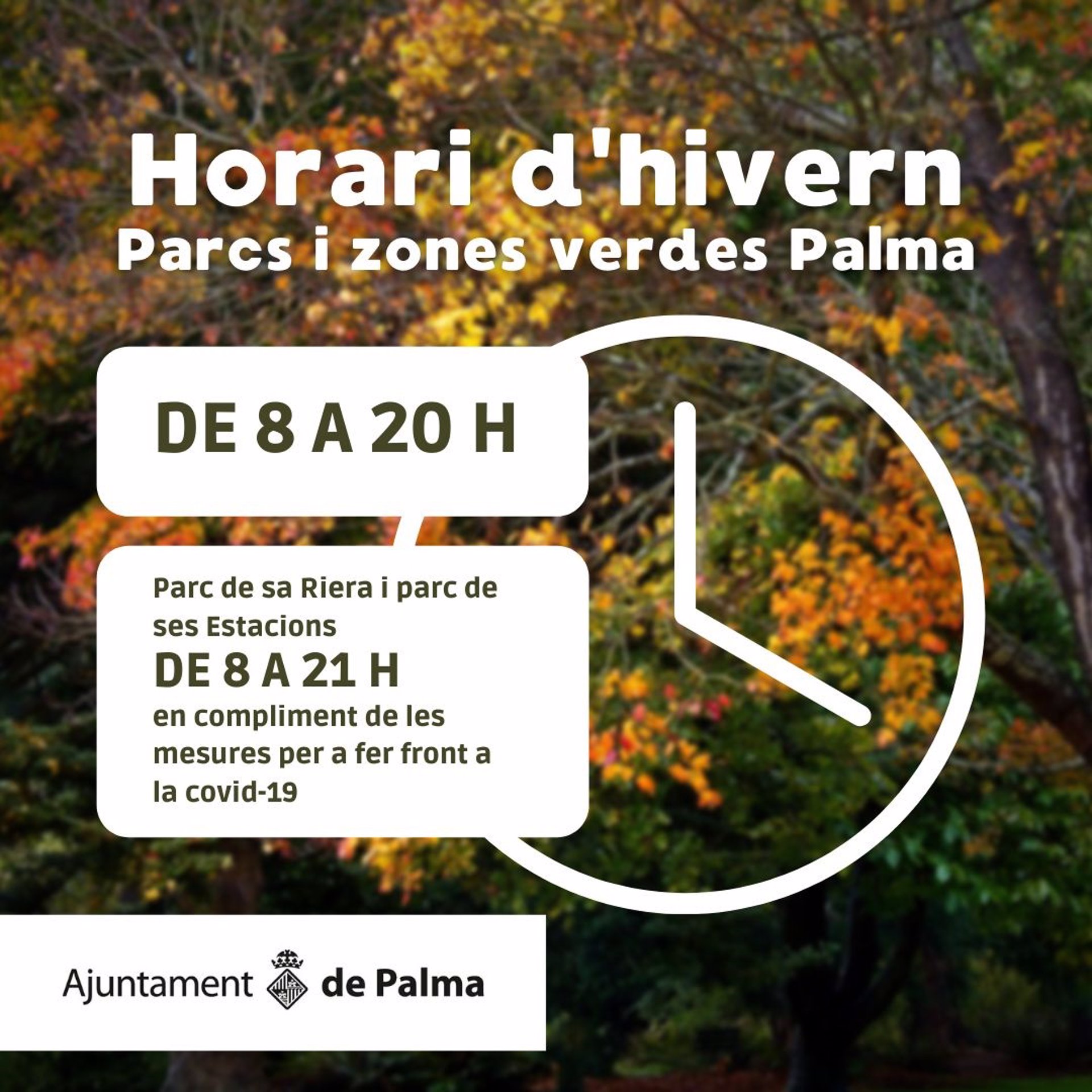 parques palma