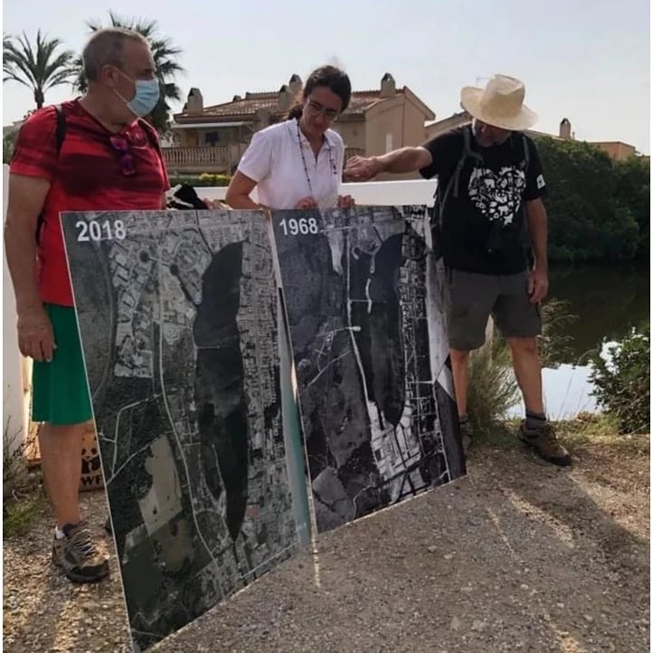 recogida plantas exóticas Alcúdia