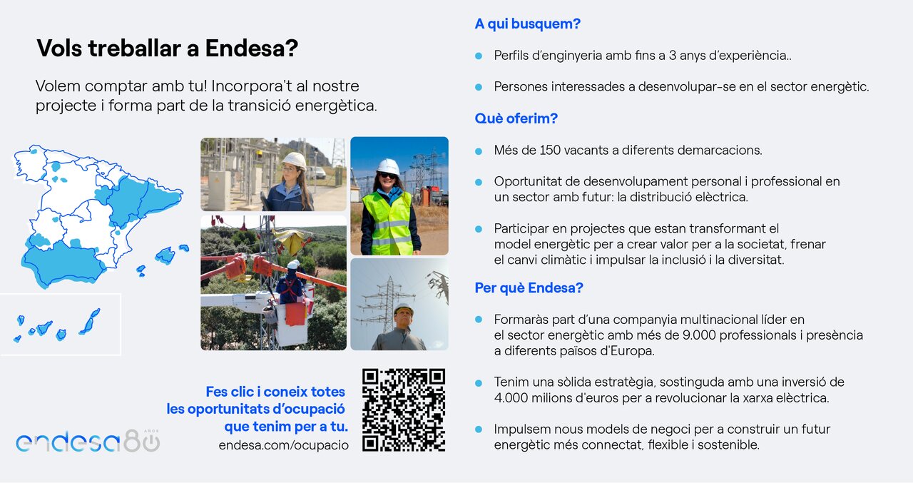 Infografia_Palma Activa-Endesa