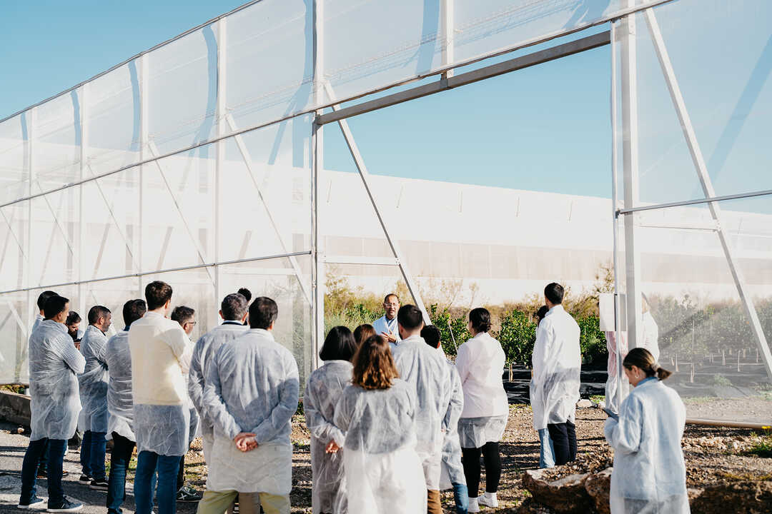 Lidl Supplier Academy_1