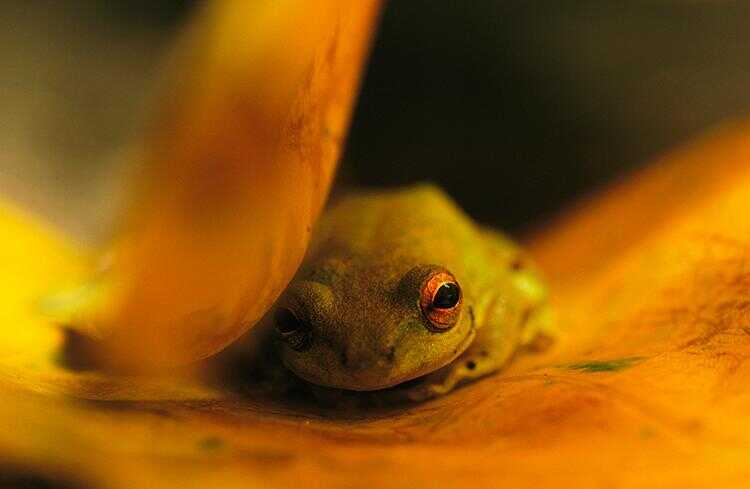 NationalGeographic_759955+copia