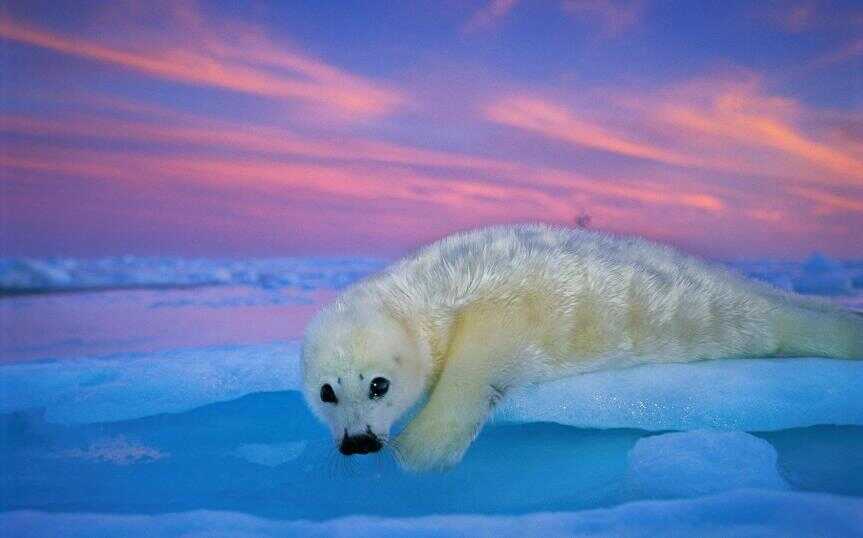 66d6fadd71943.r_d.807-522-5390