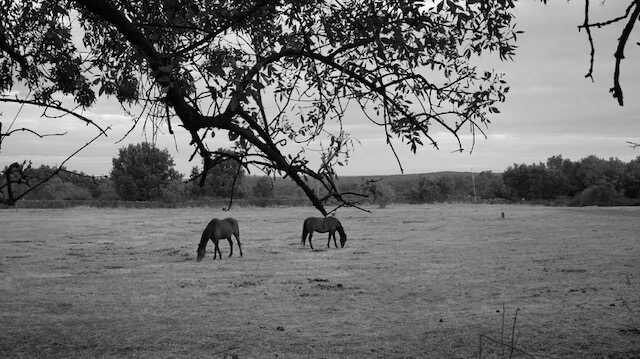 PHOTO-2026-04-21-13-45-21