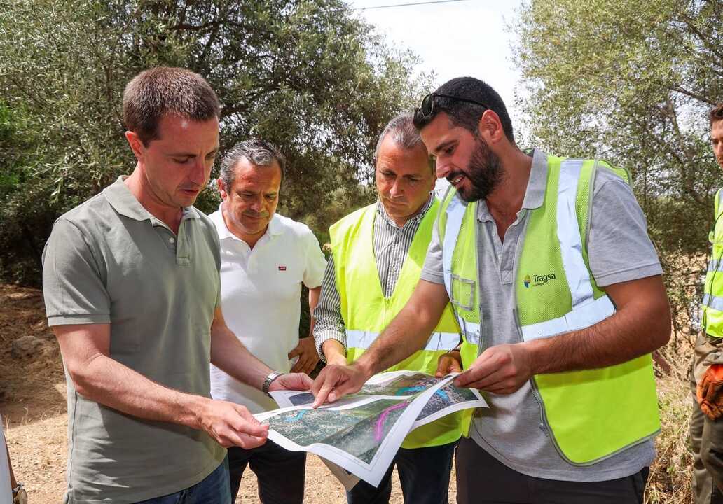Pla de sanejament forestal de la Serra de Tramuntana