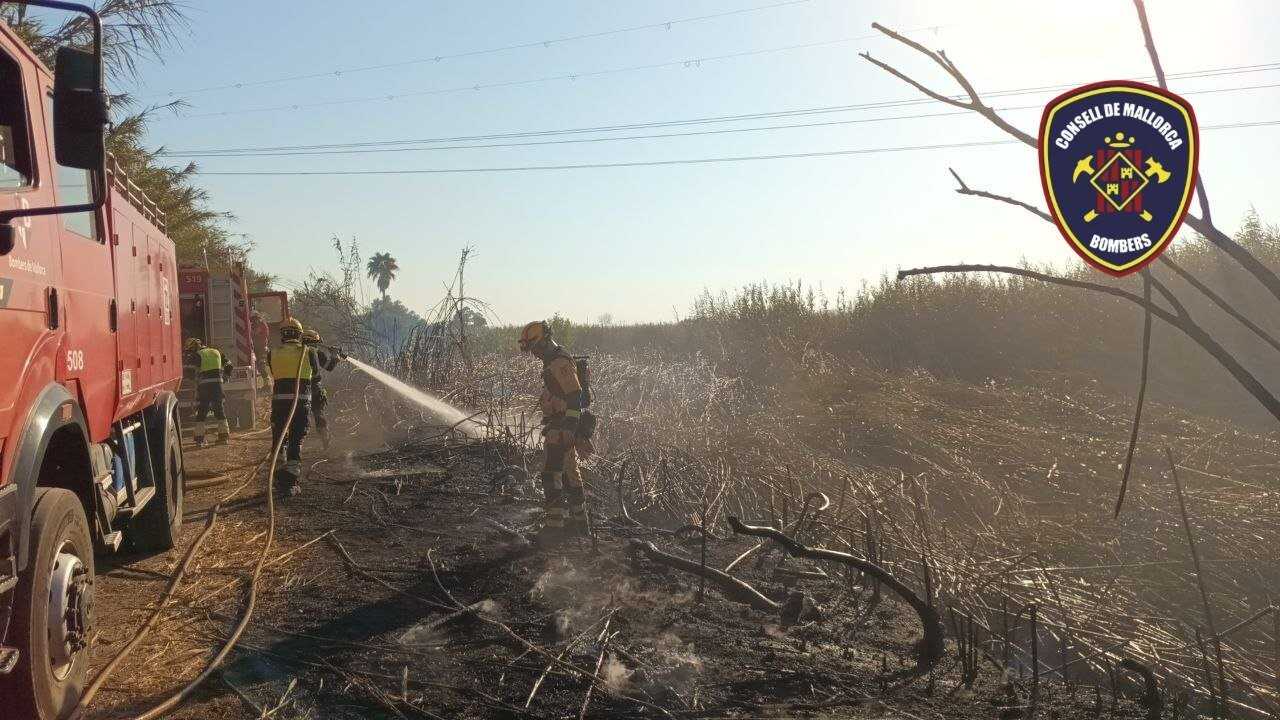 Efectivos de Bombers de Mallorca durante las labores de extinción de un incendio declarado en s’Albufera, que quedó extinguido tras dos horas de intervención.